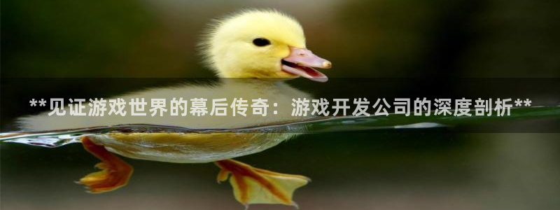 沐鸣2官方