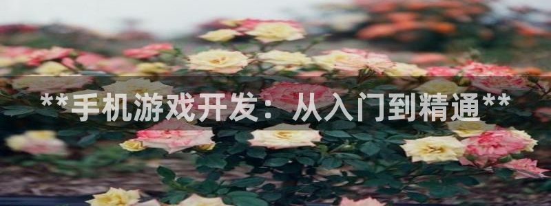 沐鸣娱乐2手机版