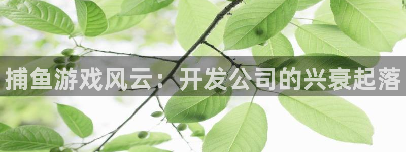 沐鸣2开户