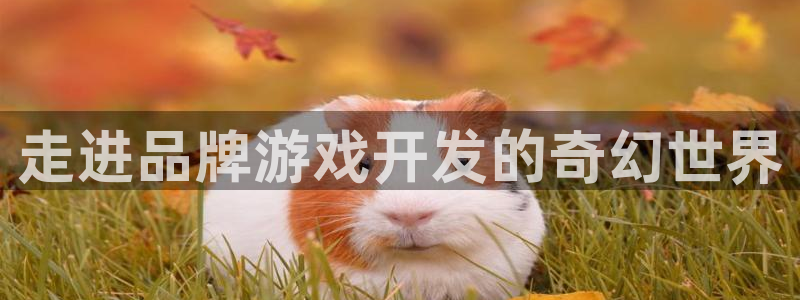 沐鸣2注册流程