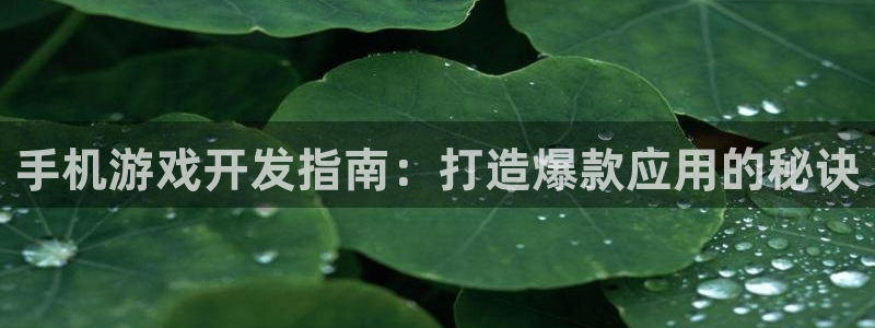沐鸣娱乐2手机下载破解版