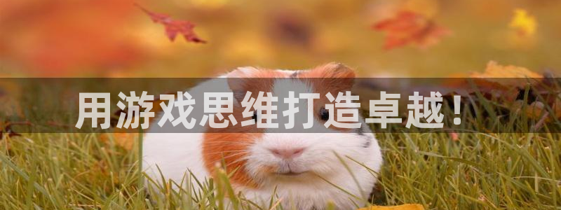 沐鸣2app官方