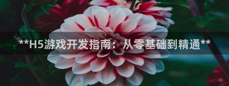 沐鸣2注册流程