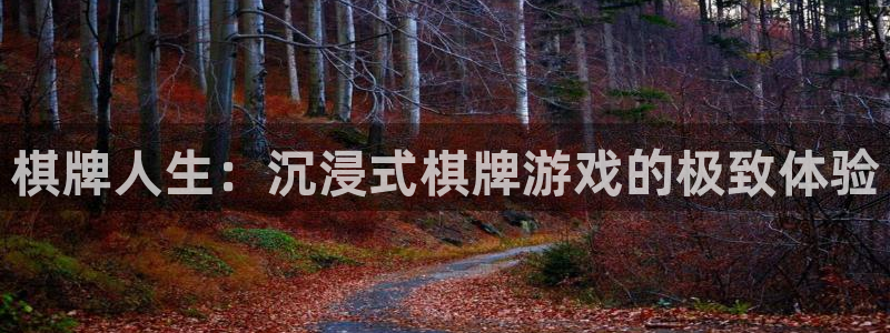 沐鸣2代理