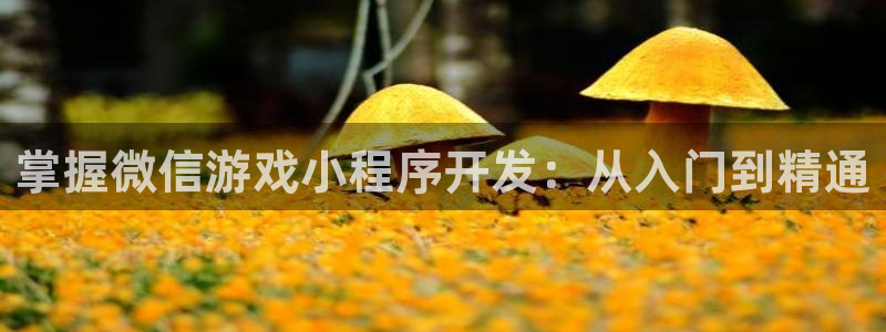 沐鸣娱乐2返点