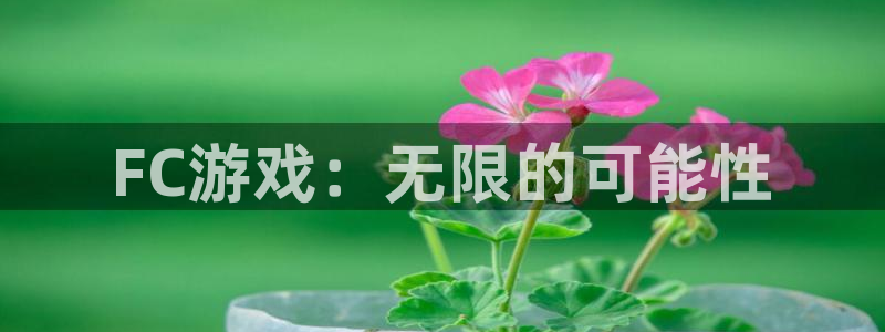沐鸣2娱乐注册登录平台：FC游戏：无限的可能性