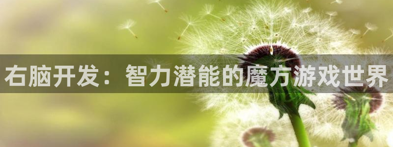 沐鸣2平台是杏彩的吗：右脑开发：智力潜能的魔方游戏世界