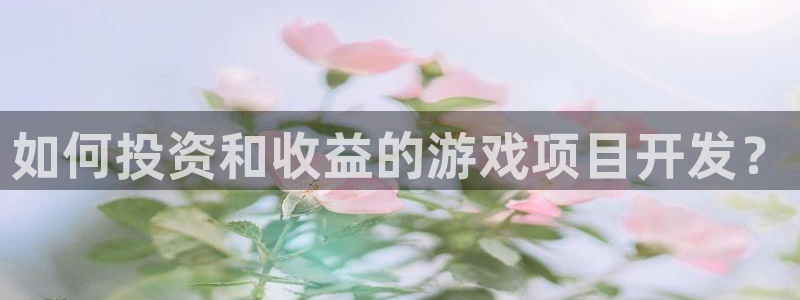 沐鸣2代理酋27337：如何投资和收益的游戏项目开发？