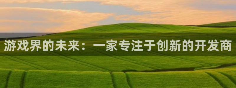 沐鸣2官方：游戏界的未来：一家专注于创新的开发商
