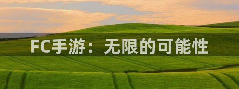 沐鸣2平台关7O777：FC手游：无限的可能性