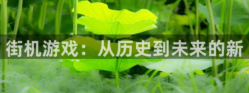 沐鸣2平台官网登录：街机游戏：从历史到未来的新