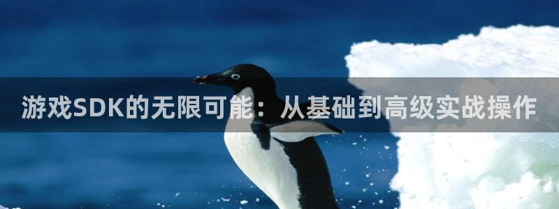 沐鸣2账号注册：游戏SDK的无限可能：从基础到高级实战操作