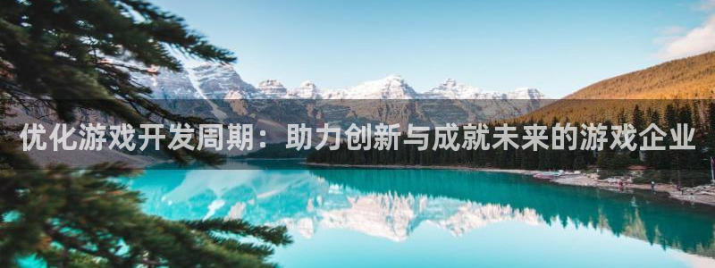 沐鸣2平台注册流程：优化游戏开发周期：助力创新与成就未来的游戏企业