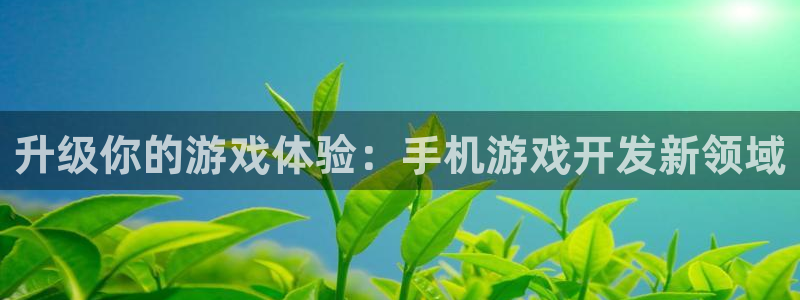 沐鸣娱乐2注册账号：升级你的游戏体验：手机游戏开发新领域