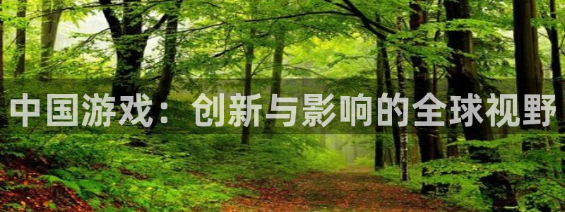 沐鸣娱乐2输钱了：中国游戏：创新与影响的全球视野