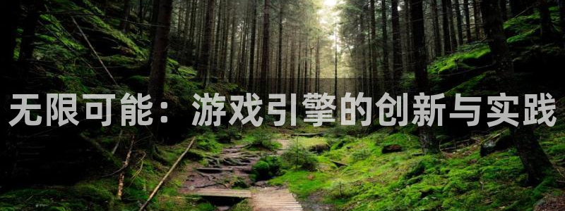 沐鸣娱乐2登录平台官网入口：无限可能：游戏引擎的创新与实践