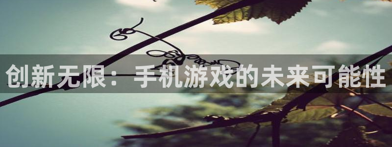 沐鸣娱乐2登录平台是什么软件：创新无限：手机游戏的未来可能性