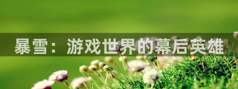 沐鸣2登录注册：暴雪：游戏世界的幕后英雄