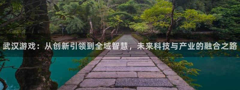 沐鸣娱乐2是正规平台么：武汉游戏：从创新引领到全域智慧，未来科技与产业的融合之路